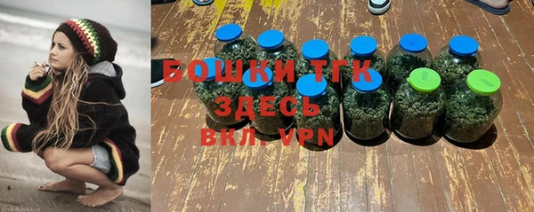 шишки Балахна